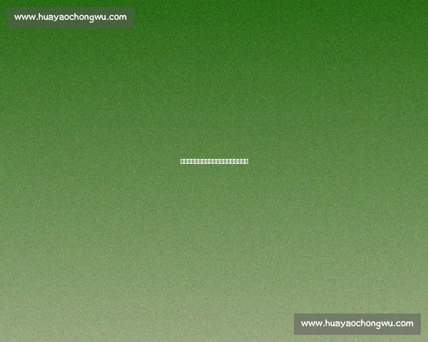 白山水杯复仇战：芮乃伟破渗透流取三连胜