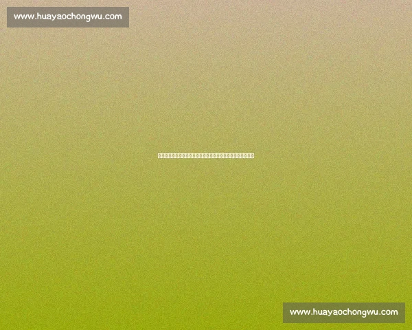 巴西对阵荷兰比分预测与比赛走势深度解析及胜负前瞻分析看点